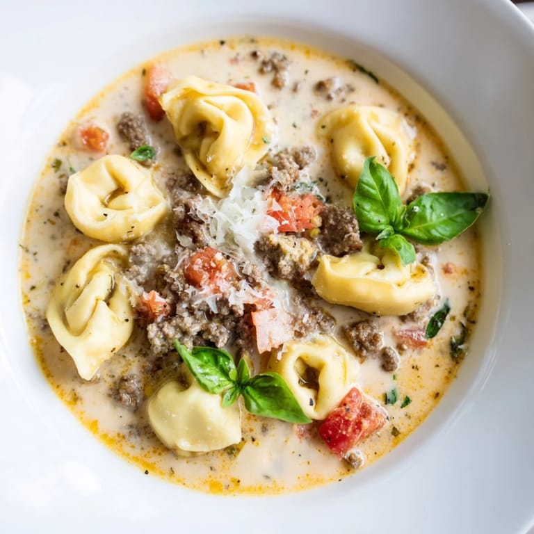 Close-up of a flavorful Tortellini Beef Soup, garnished with Parmesan cheese and fresh basil leaves.